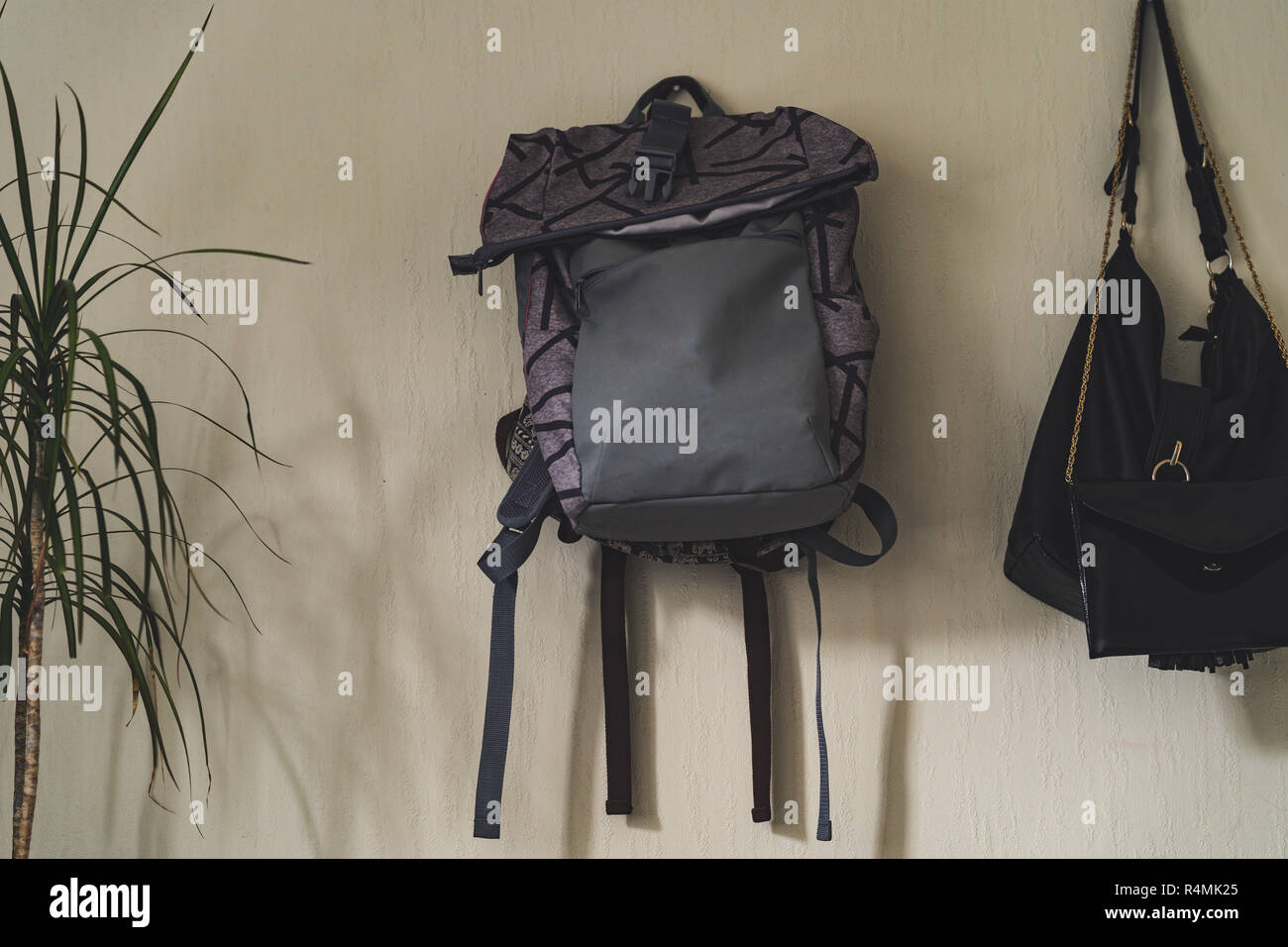Lila Schule Rucksack an der Wand hängen - isoliertes Objekt mit weißem Hintergrund mit grünen Pflanze daneben, Vintage Film bearbeiten Stockfoto