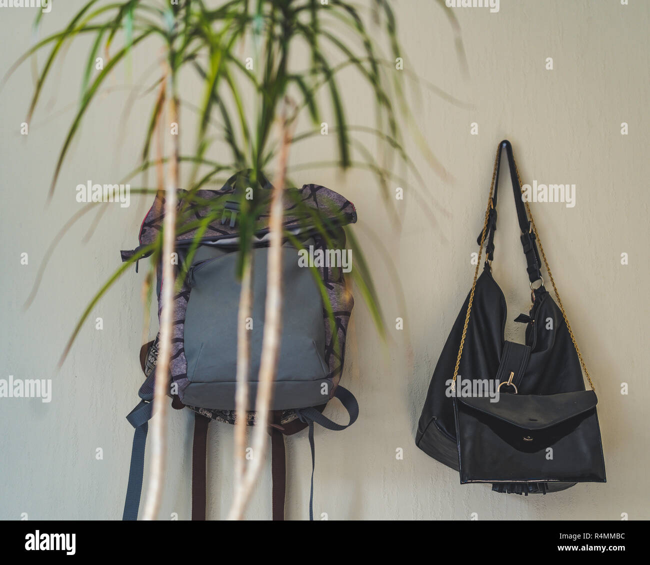 Lila Schule Rucksack an der Wand hängen - isoliertes Objekt mit weißem Hintergrund mit grünen Pflanze vor, Vintage Film bearbeiten Stockfoto