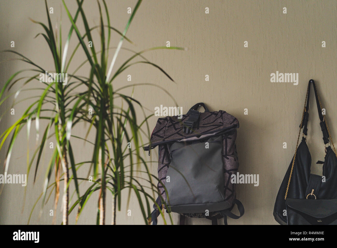 Lila Schule Rucksack an der Wand hängen - isoliertes Objekt mit weißem Hintergrund mit grünen Pflanze daneben, Vintage Film bearbeiten Stockfoto