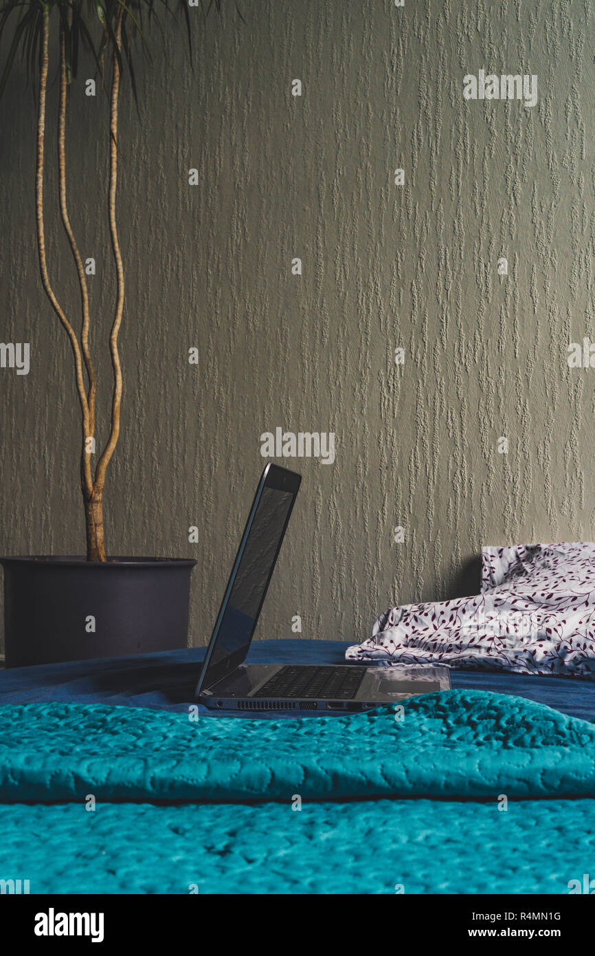 Grau Laptot Verlegung auf Matratze mit Türkis, ein paar Kissen und einem weißen Hintergrund - mit einem Zimmer plant außerdem, Vintage Look bearbeiten Stockfoto