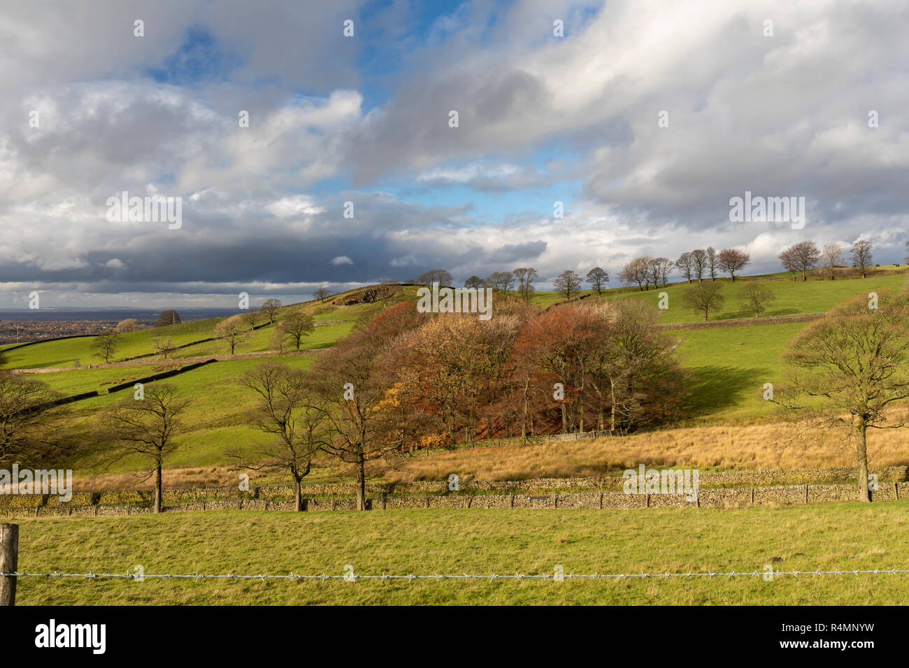 Blick auf die Landschaft vom Teggs Nose Country Park, Macclesfield, Cheshire, England, Großbritannien Stockfoto