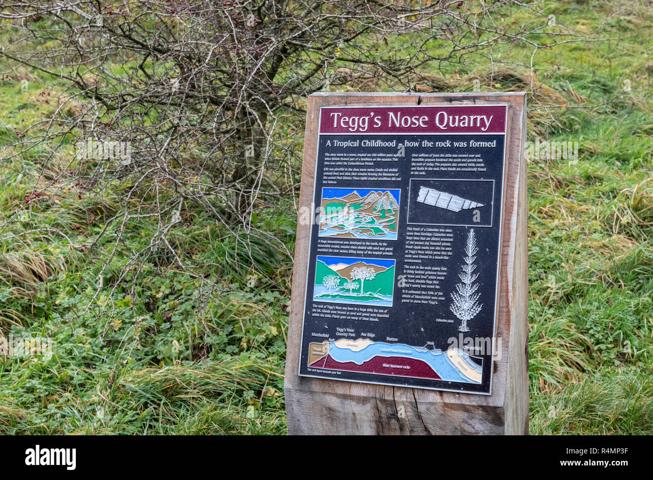 Teggs Nase Steinbruch an der Nase Tegg Country Park, Macclesfield, Cheshire, Großbritannien Stockfoto