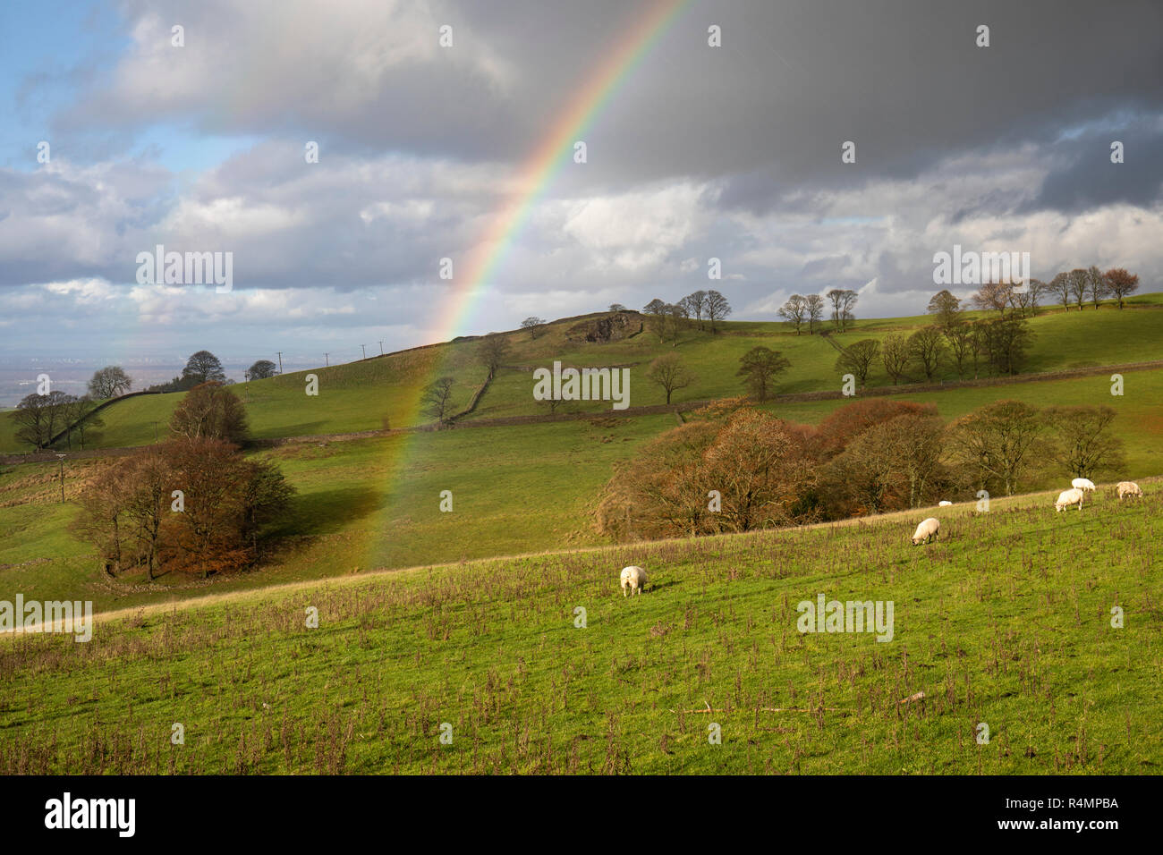 Rainbow im TEGG's Nose Country Park, Macclesfield, Cheshire, England, Großbritannien Stockfoto