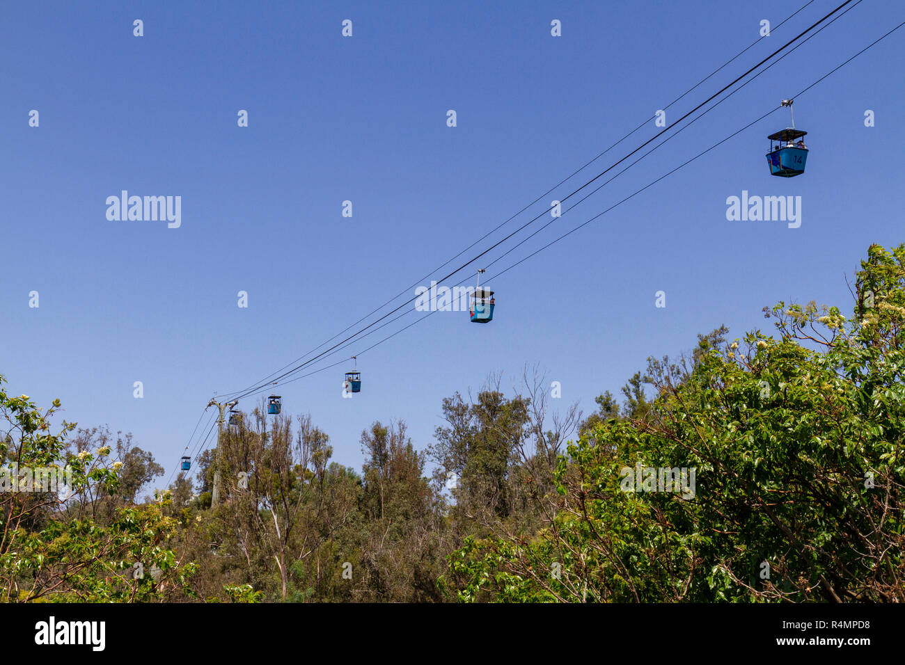 Der Skyfari aerial tram in San Diego Zoo, Balboa Park, California, United States. Stockfoto