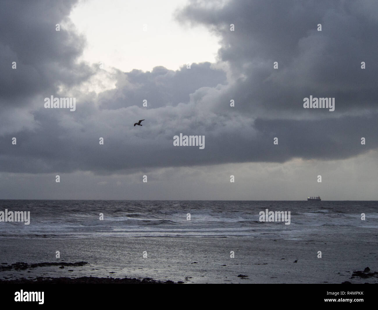 Anfang an einem stürmischen November Morgen am St. Mary's Island, Whitley Bay, Northumberland. Ein Vogel, und ein Schiff vor Anker. Stockfoto