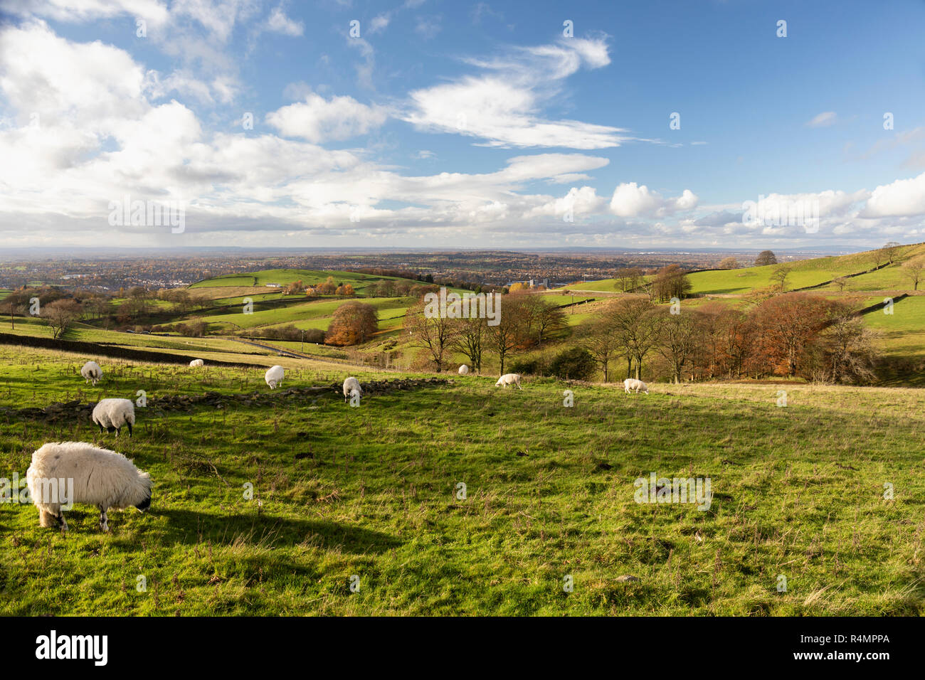 Wundervolle Aussicht vom TEGG's Nose Country Park, Macclesfield, Cheshire, England, Großbritannien Stockfoto