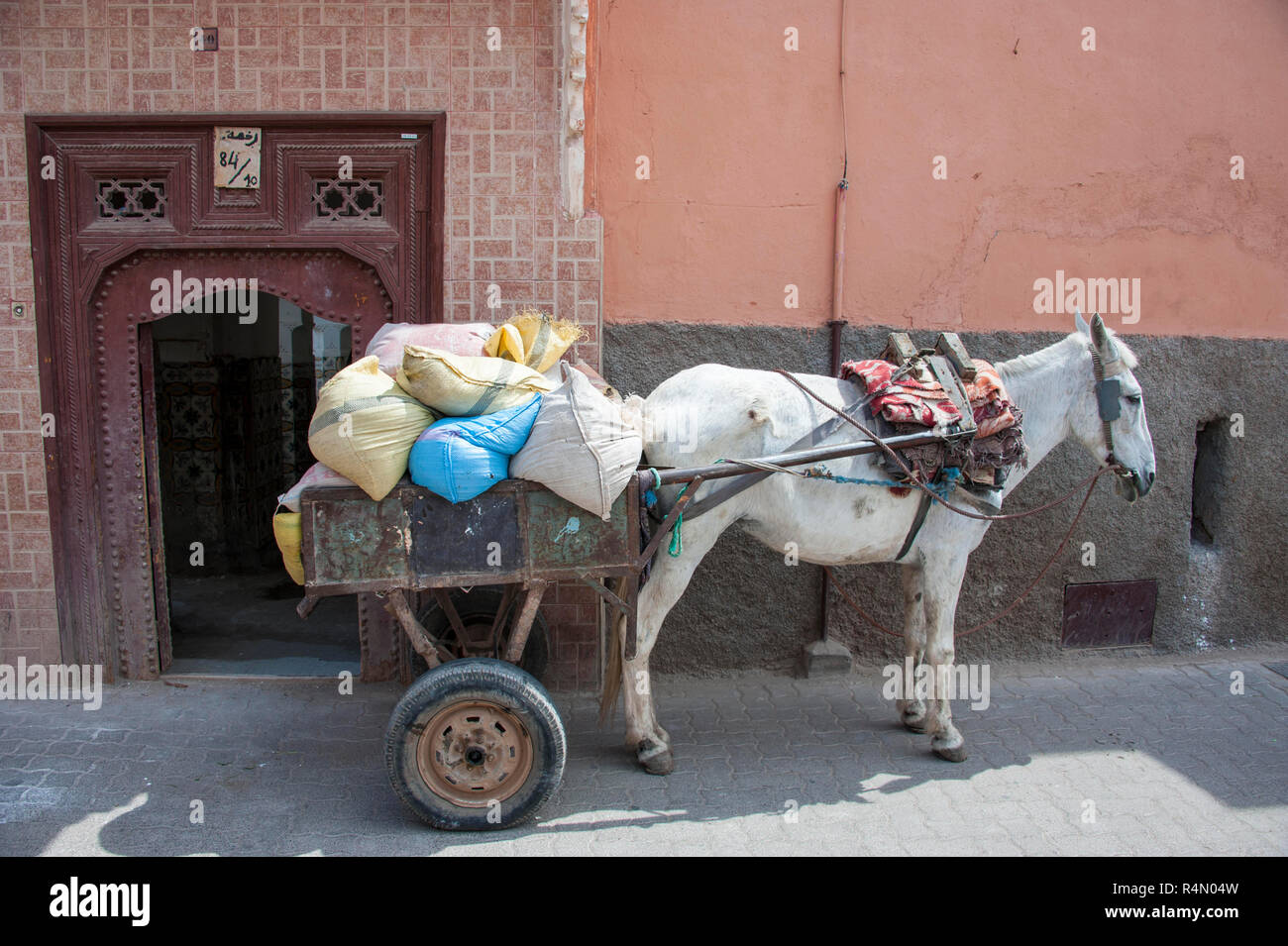 18-04-11. Marrakesch, Marokko. Ein Esel Ankuppeln eines Anhängers, verwendete Baumaterialien in der Medina, wo die Straßen zu eng für v sind zu schleppen Stockfoto