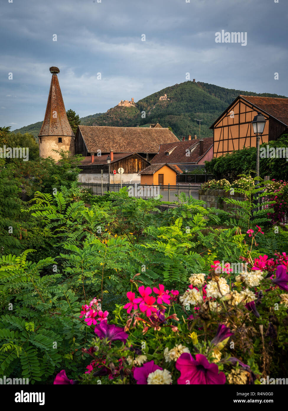 Idyllische Dorf Ribeauville im Elsass. Stockfoto
