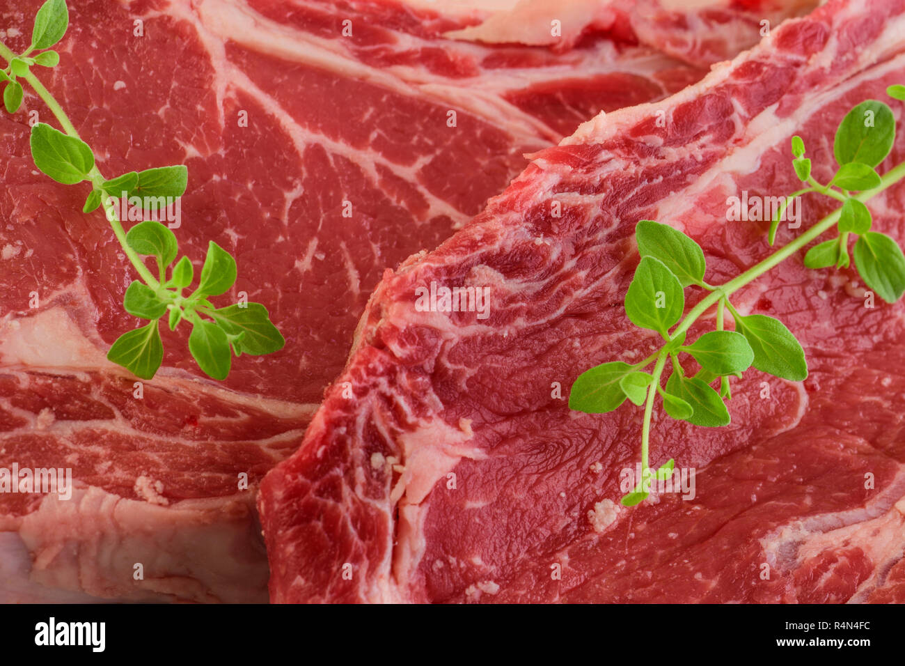 Rohen Steak und Oregano Stockfoto