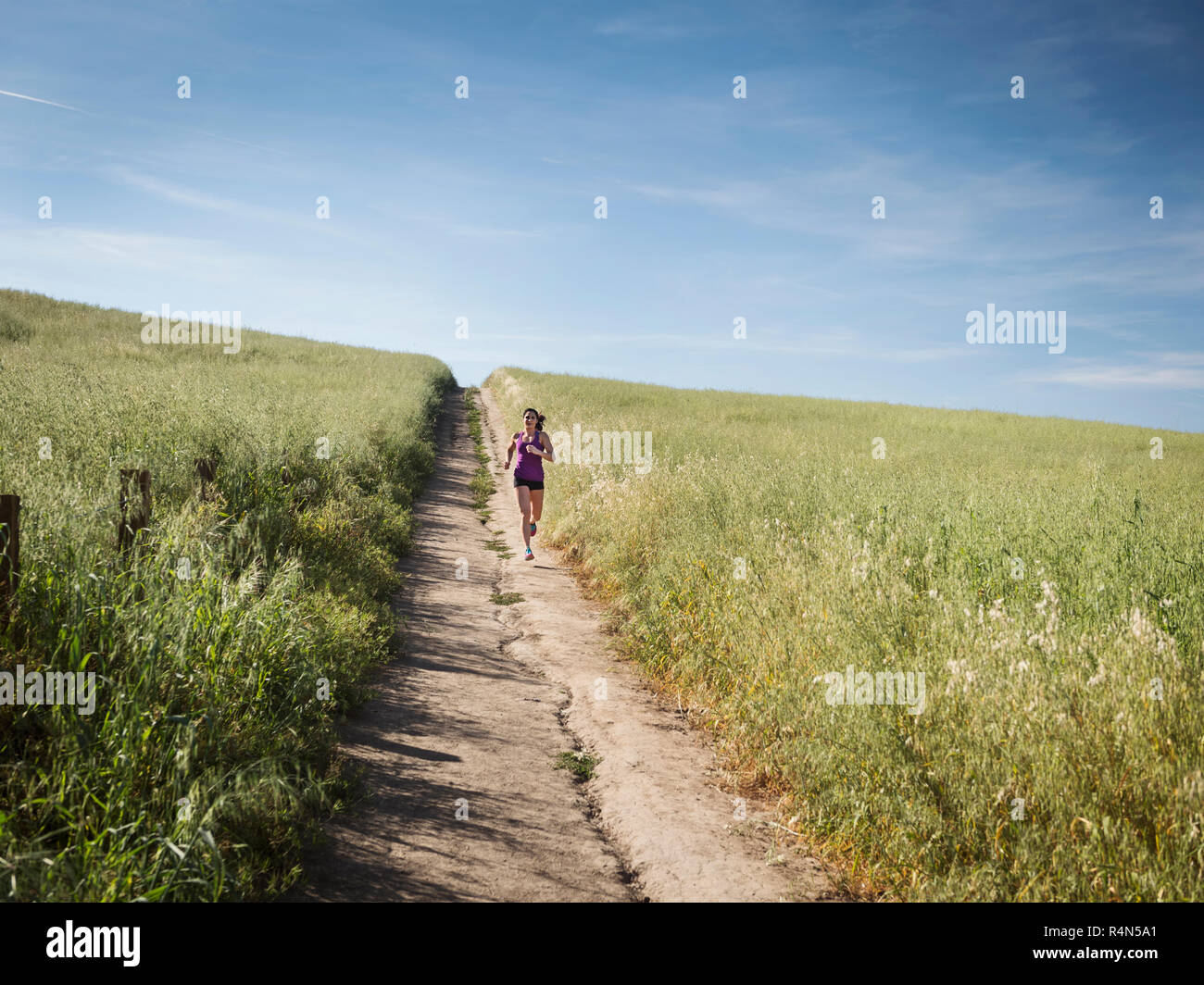 Mitte der erwachsenen Frau joggen auf dem Weg durch das Feld Stockfoto