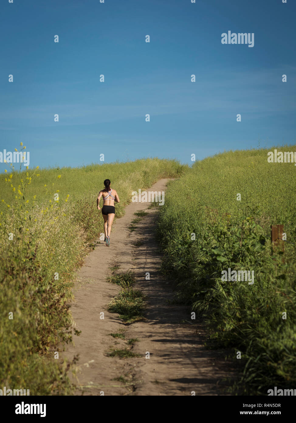 Frau joggen auf dem Weg durch das Feld Stockfoto