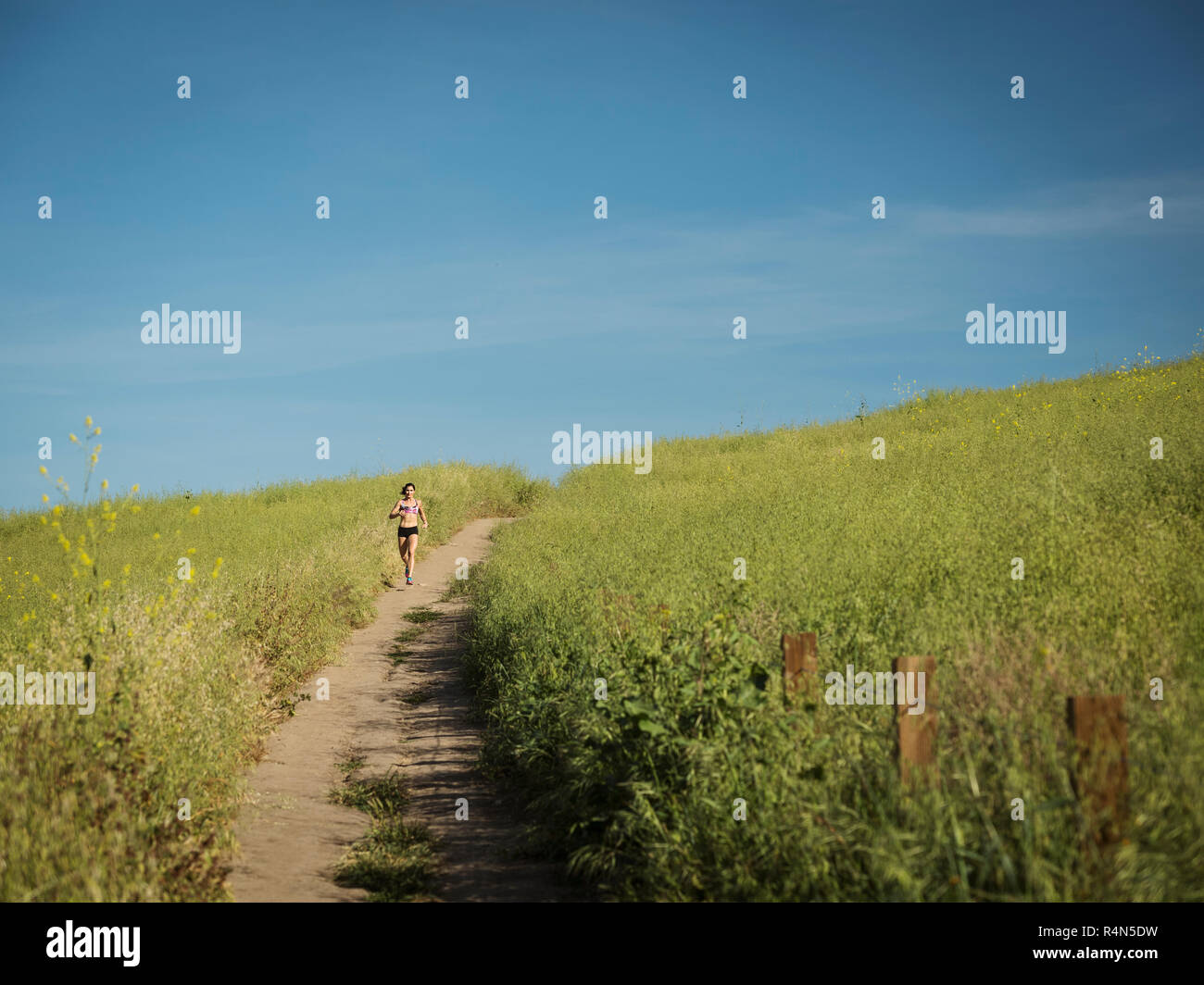 Frau joggen auf dem Weg durch das Feld Stockfoto