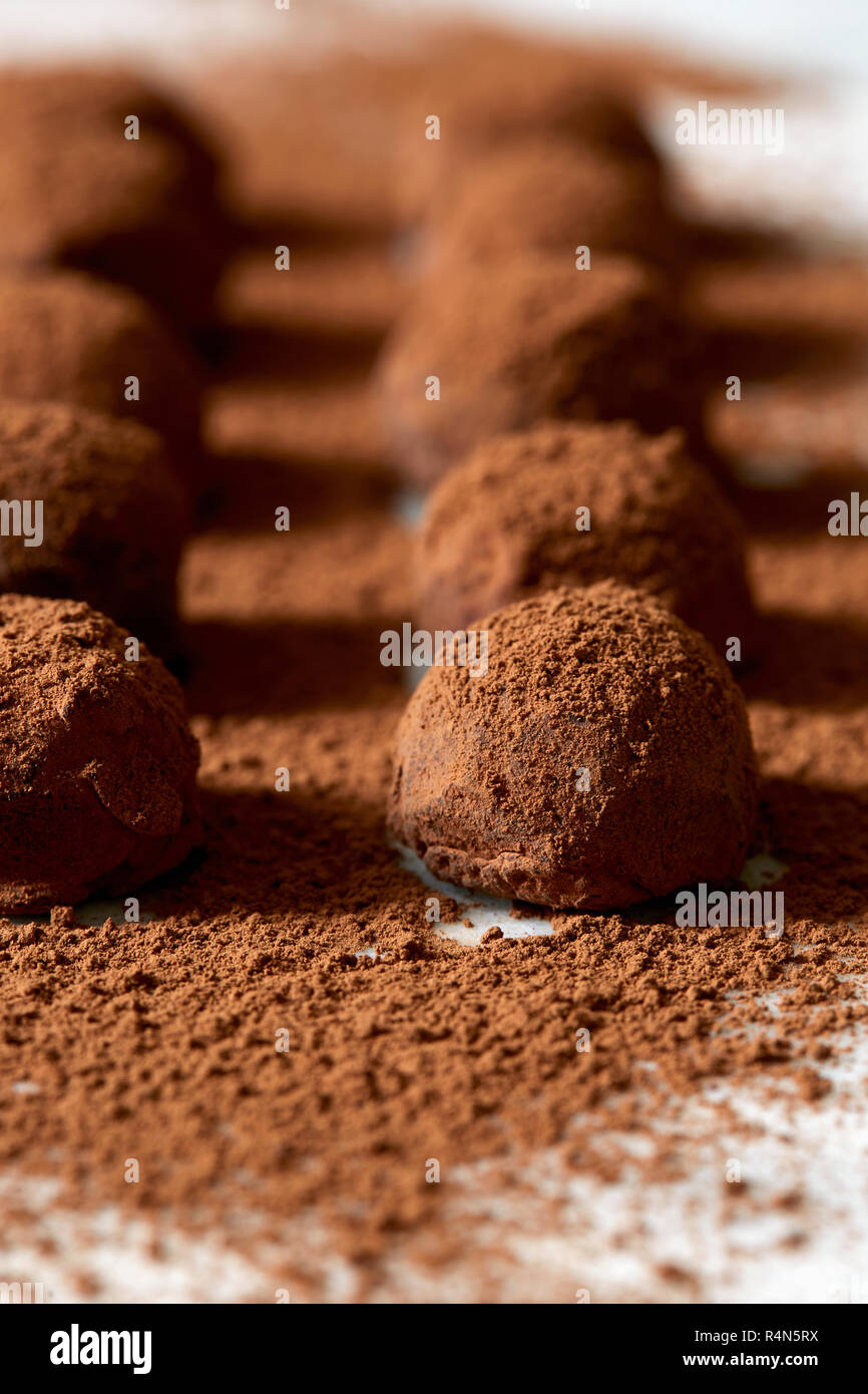 Schokoladentrüffel mit Kakaopulver Stockfoto