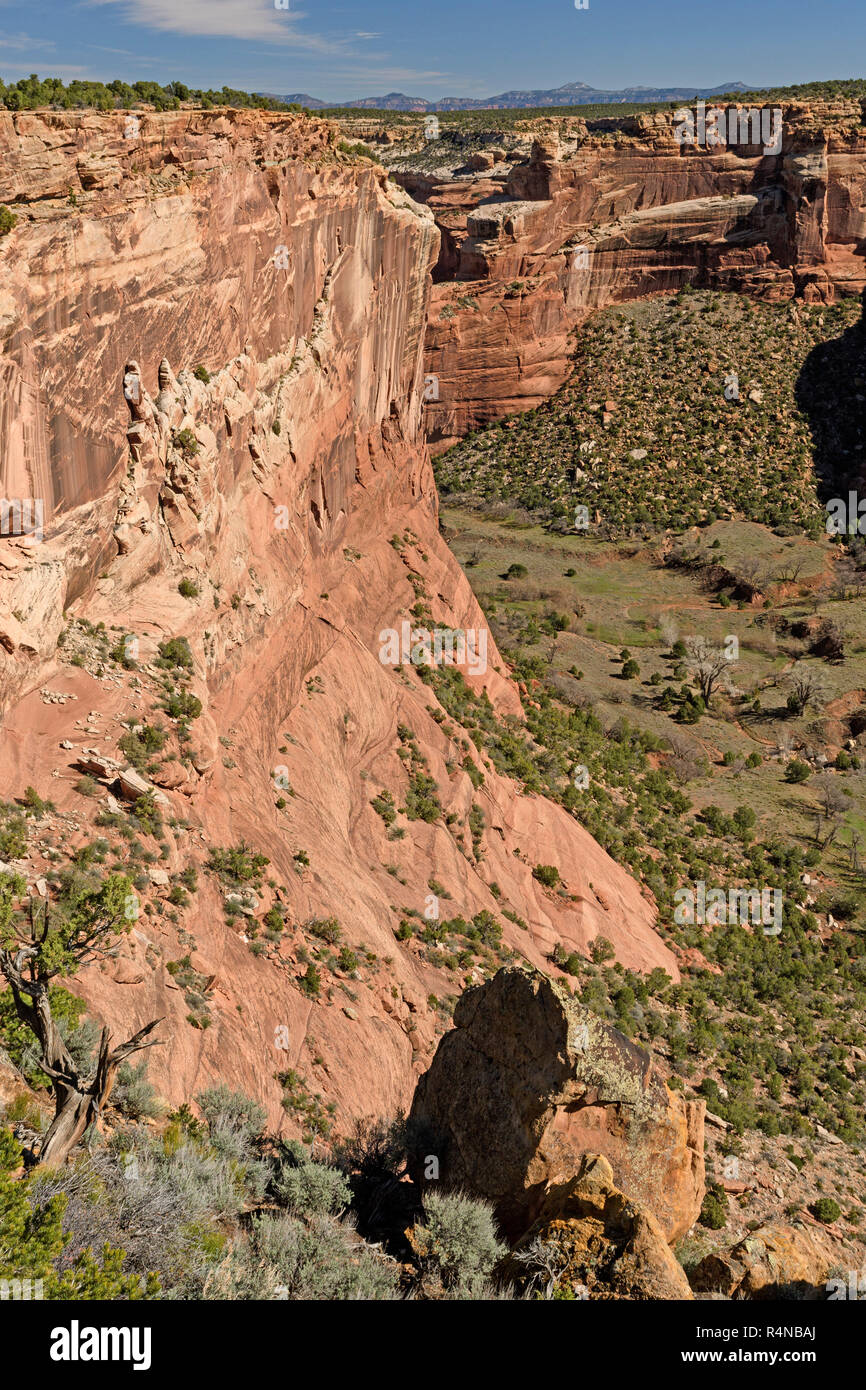 Schrägansicht des Desert Canyon Stockfoto
