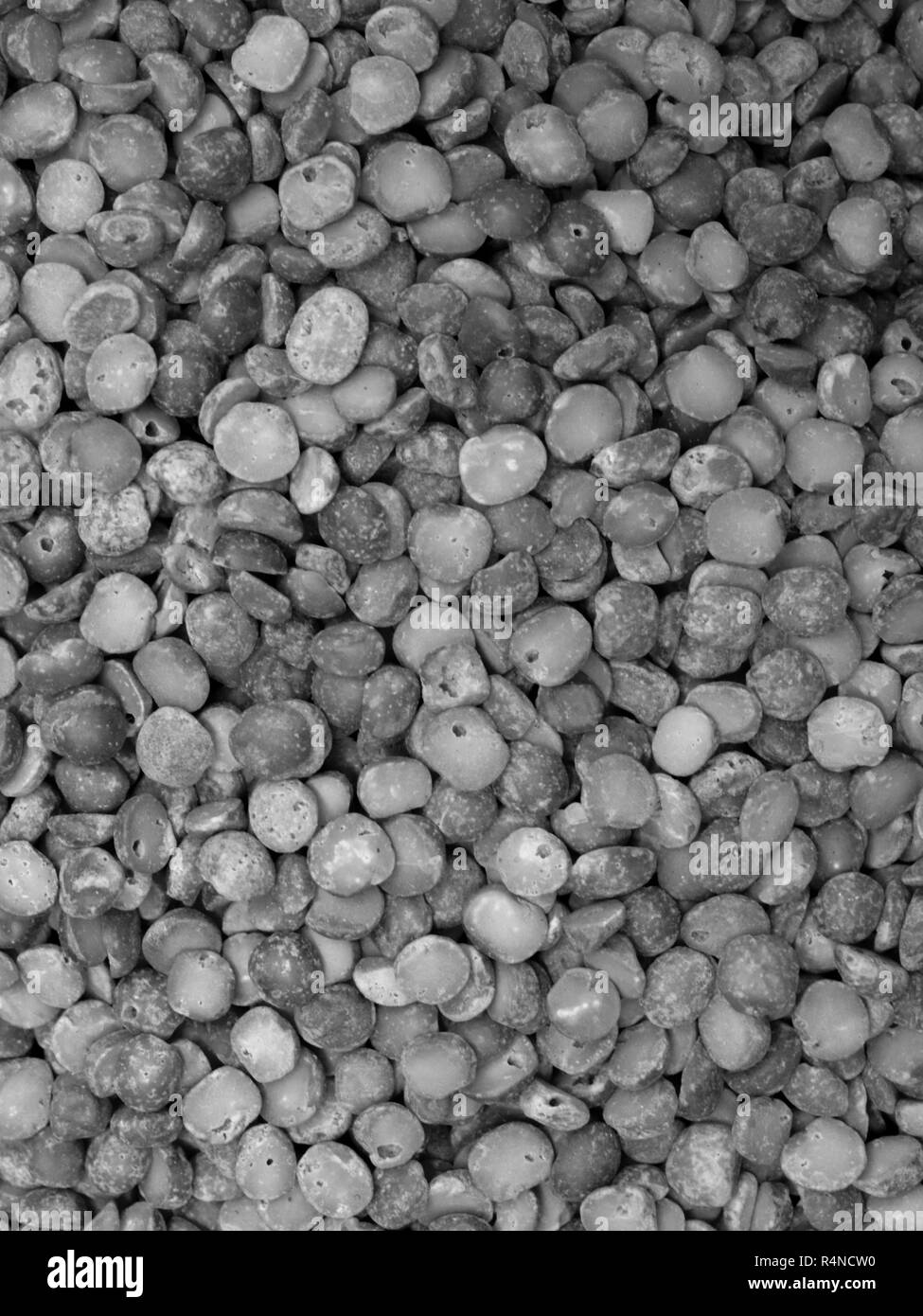 Kichererbsen oder KICHERERBSEN (CICER ARIETINUM) Stockfoto