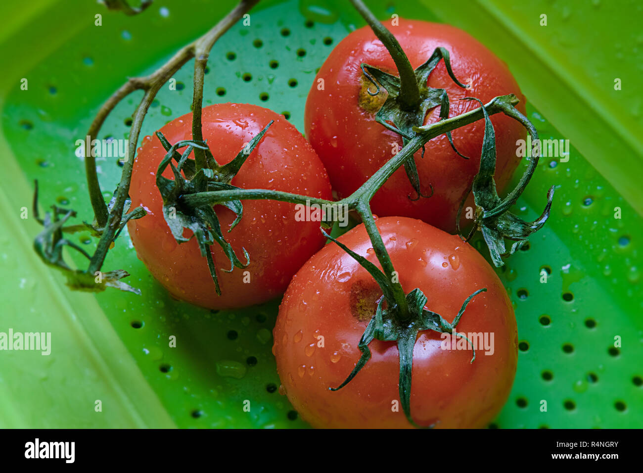 Drei Trauben Tomaten in der Waschmaschine Warenkorb Stockfoto