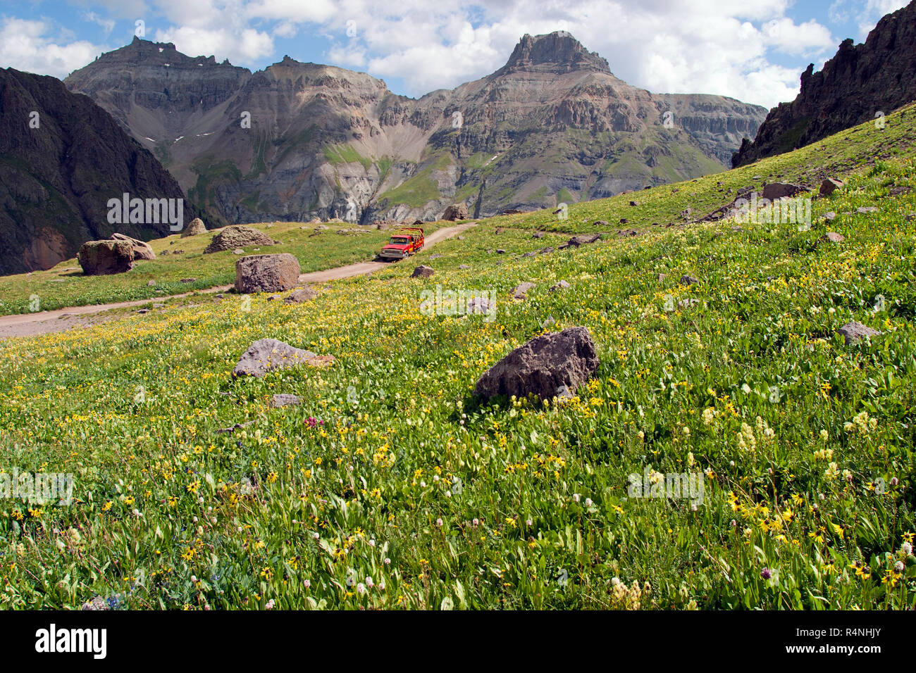 Die malerische Landschaft mit Wiese mit Wildblumen und Berge und 4x4 Auto auf unbefestigte Straße, Yankee Boy Basin, San Juan, Berge, Colorado, USA Stockfoto