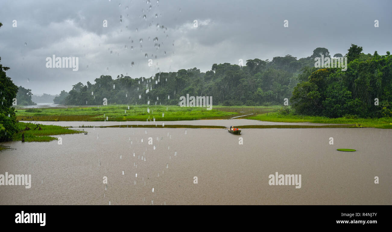 Touristen erhalten ihre Gelder aus einem kurzfristigen Angeln Ausflug lohnt den Besuch der Regenwald von Panama. Stockfoto