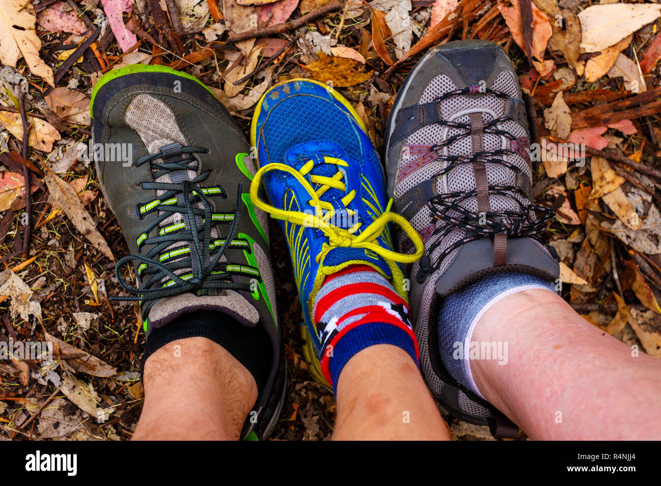 Bunte Schuhe auf einem grünen Waldboden Stockfoto