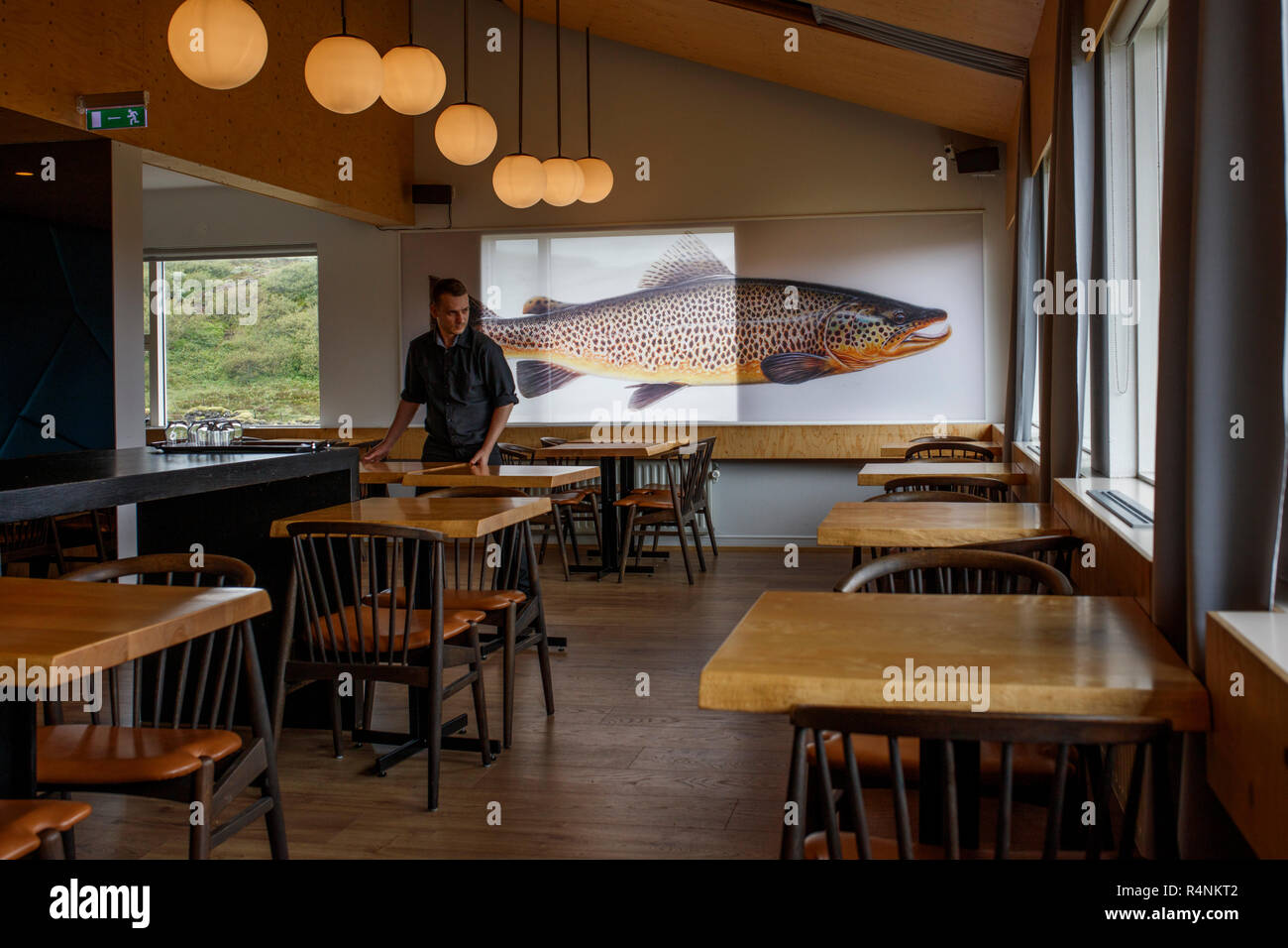 Anzeigen von Tabellen und Mann innerhalb des Hotel, Reykjavik, Island Stockfoto