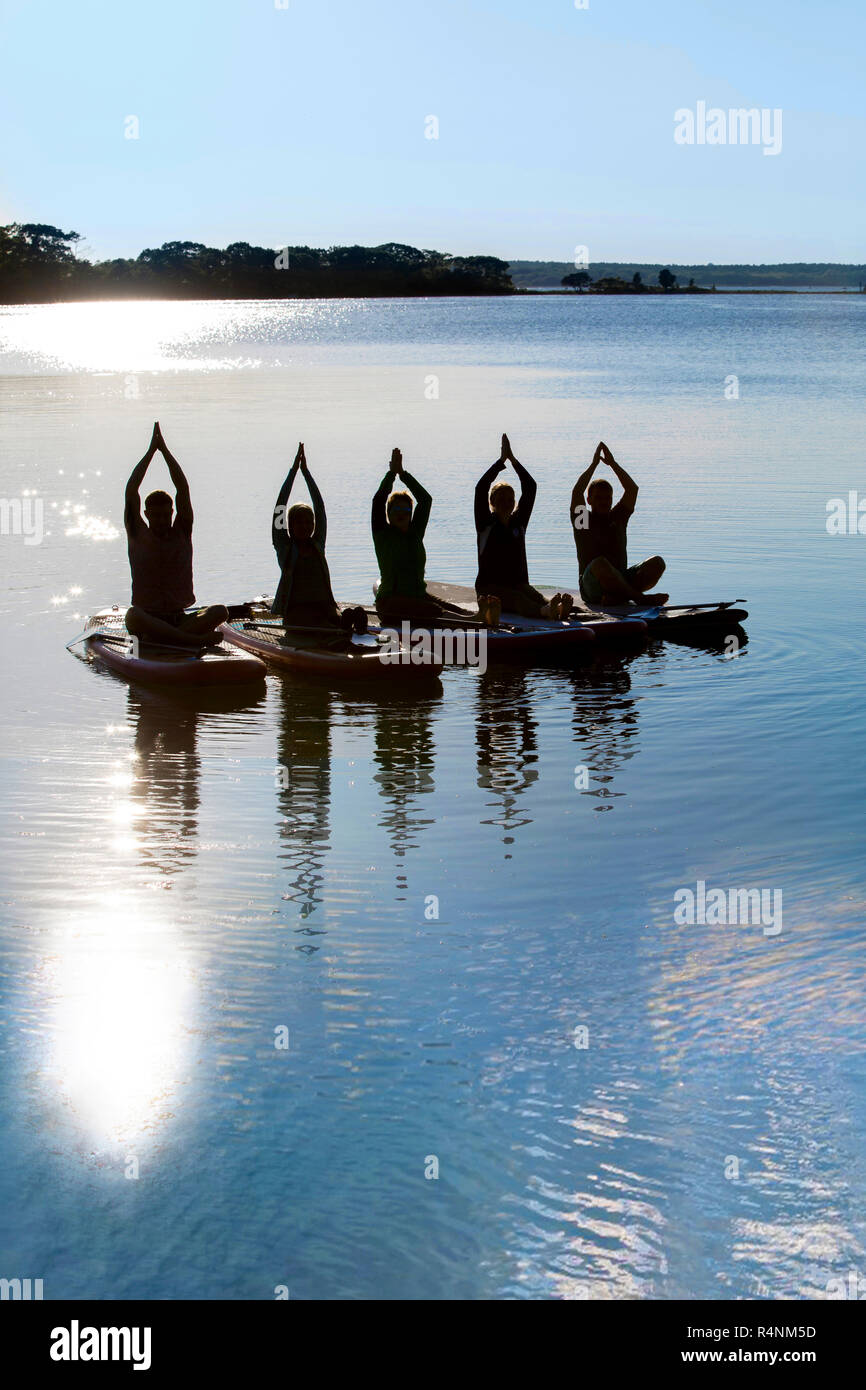 Foto mit Silhouette der Gruppe von Menschen, die Yoga auf paddleboards Stockfoto