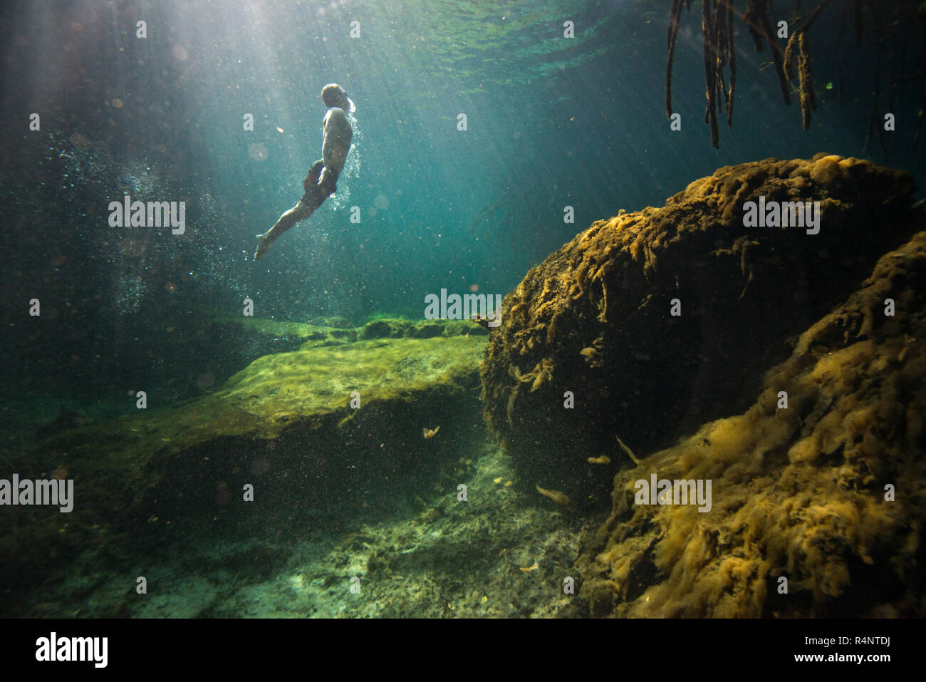 Seitenansicht des einzelnen Menschen inÂ freedivingÂ cenoteÂ in Riviera Maya, Â QuintanaÂ Roo, Mexiko Stockfoto