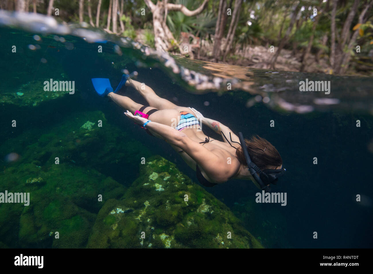 Seitenansicht der Schoß der Frau im Bikini schnorcheln, Â CenoteÂ El Eden, Riviera Maya, Â PlayaÂ delÂ Carmen, Quintana Roo, Mexiko Stockfoto