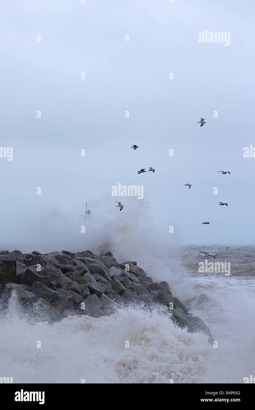 Hastings, East Sussex, UK. 28 Nov, 2018. UK Wetter: Sturm Diana Hits die Stadt mit mit nur wenigen Menschen trotzen die windigen und regnerischen Wetter. Windböen werden voraussichtlich auf 50 mph und anhaltender Regen überschreiten, ist für die nächsten Tage prognostiziert. Der Hafen Arm nimmt ein zerschlagen, als die Flut kommt. Credit: Paul Lawrenson/Alamy leben Nachrichten Stockfoto