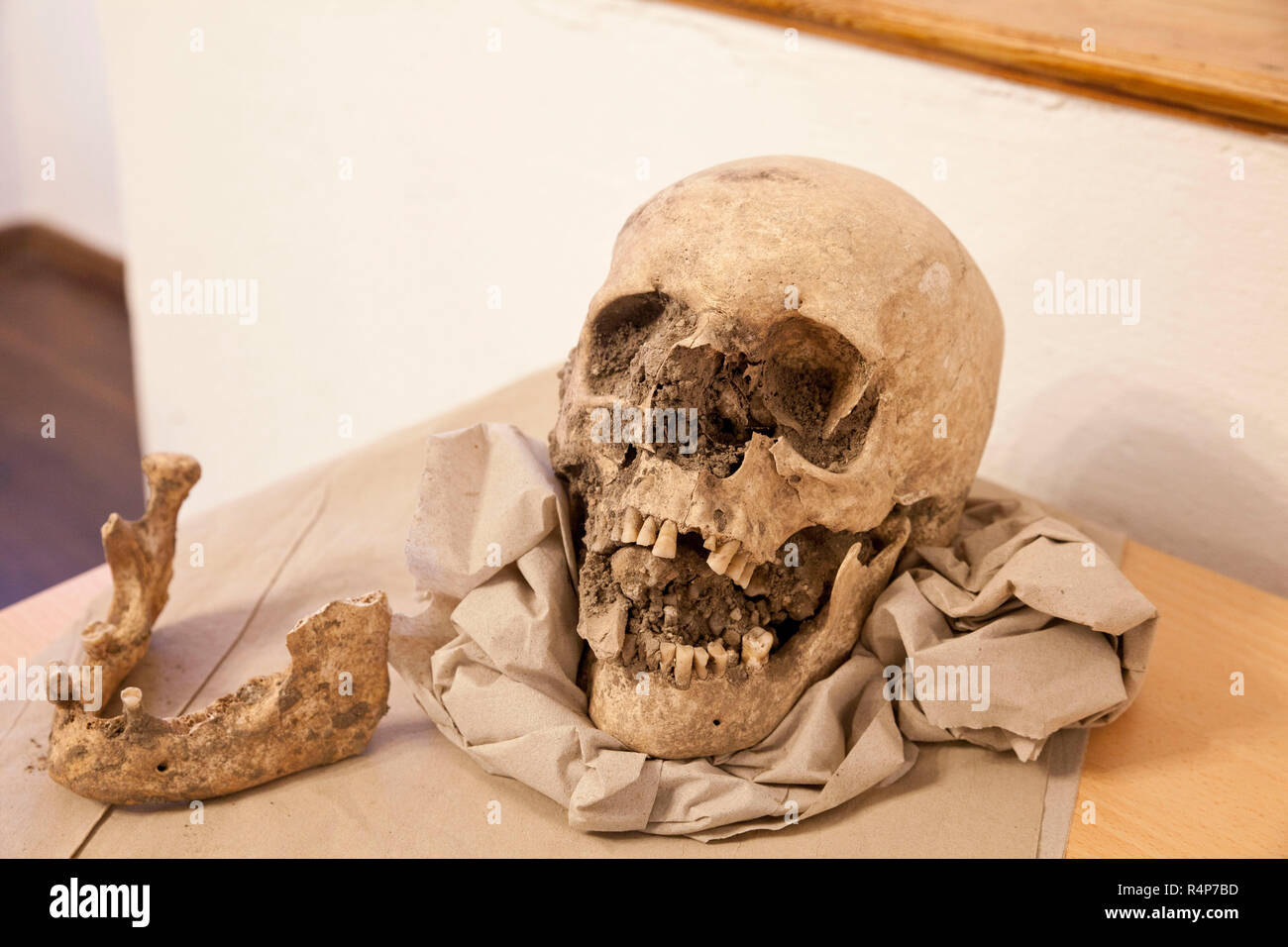 Querfurt, Deutschland. 28 Nov, 2018. Menschliche Überreste sind im Innenhof der Burg Querfurt auf einer Presseveranstaltung gezeigt. Archäologische Funde wurden im Zusammenhang mit umfangreichen Baumaßnahmen in Querfurt Schloss gesichert. Neben die Reste von zwei Toren, zahlreiche Skelette gefunden, die Zeugen einer ehemaligen Friedhof im Norden und Osten der Kirche tragen. Die Funde aus dem Mittelalter und die frühe Neuzeit. Credit: Johannes Stein/ZB/dpa/Alamy leben Nachrichten Stockfoto