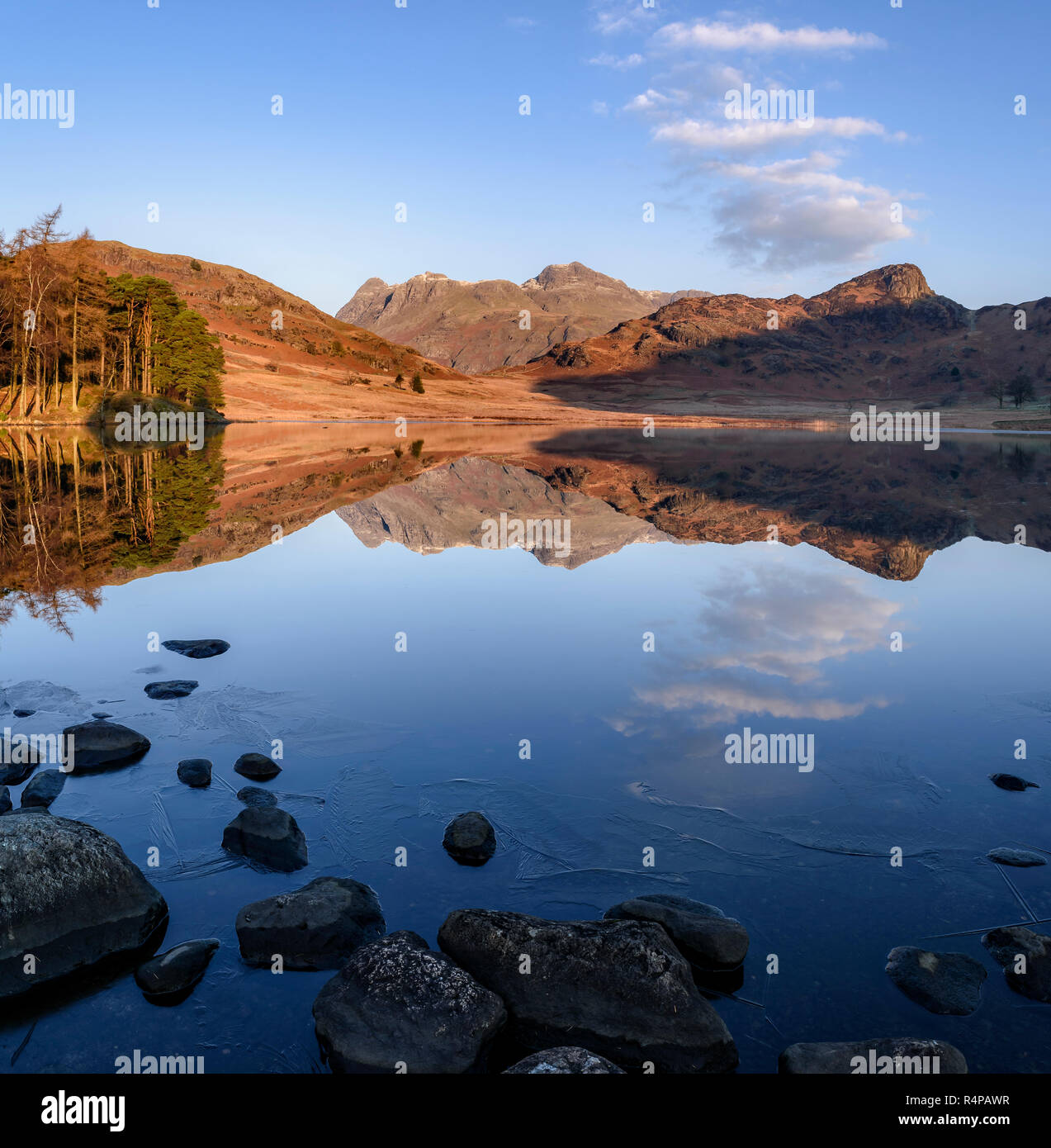 Spiegel - wie Reflexionen der Langdale Pikes in Blea Tarn auf Morgen eine kalte, klare Winter Stockfoto