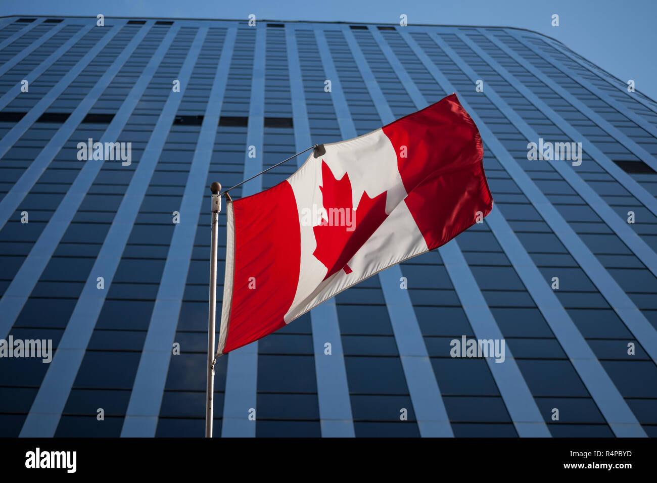 Kanadische Flagge vor ein Geschäftsgebäude in Ottawa, Ontario, Kanada. Ottawa ist die Hauptstadt von Kanada, und einer der wichtigsten wirtschaftlichen, politica Stockfoto