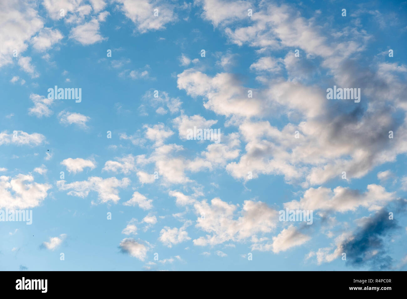 Schone Weisse Wolken Mit Blauem Himmel Farbton Farbverlauf Von Weiss Zu Blau Fur Hintergrundbild Stockfotografie Alamy
