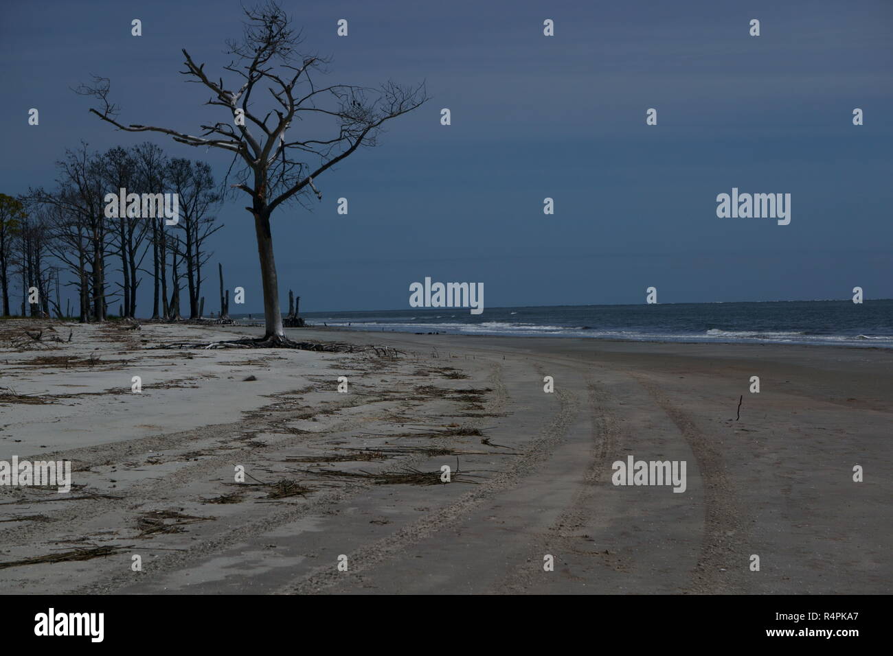 Surfen schlagen die Barrier Insel Sandstrände, die versuchen, die Bäume, die noch aufrecht stehen, um Auszureißen! Stockfoto