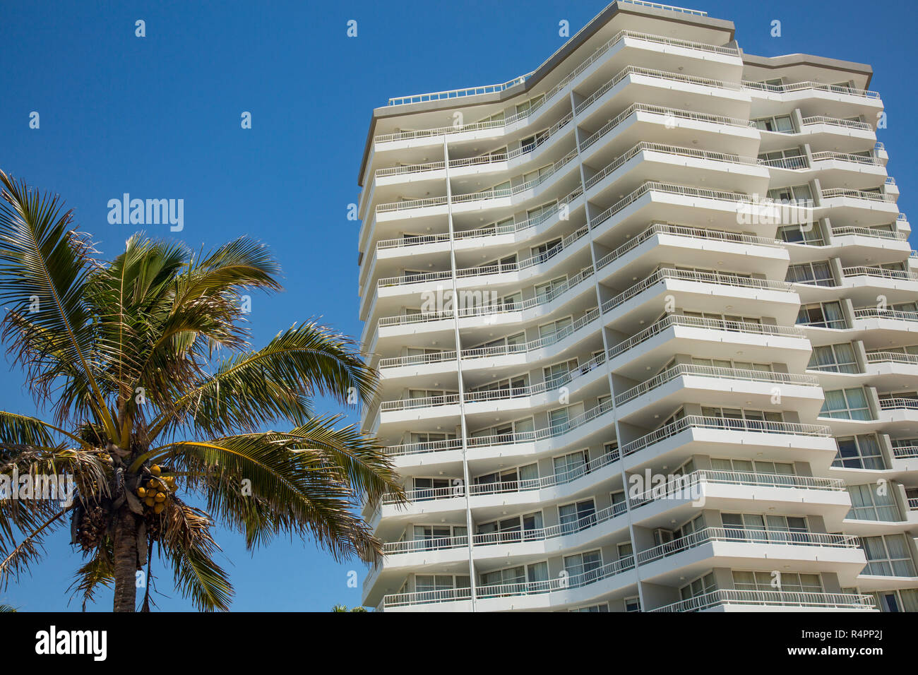 Ferienwohnung Unterkunft Apartment Gebaude In Queensland Gold Coast Mit Palme Gold Coast Australien Stockfotografie Alamy