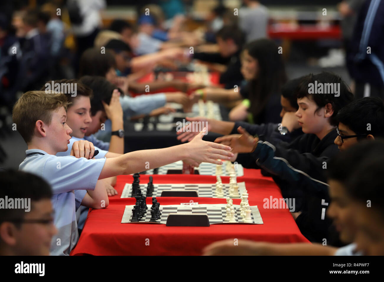 Junior National Chess Team Wettbewerb, Auckland, Neuseeland Stockfoto