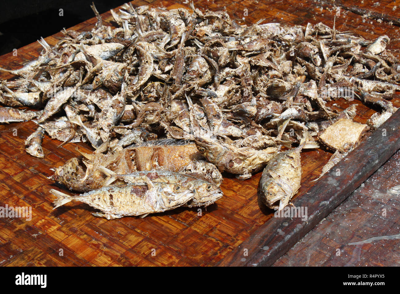 Getrockneter Fisch auf dem Boden in einem tropischen Land Stockfoto