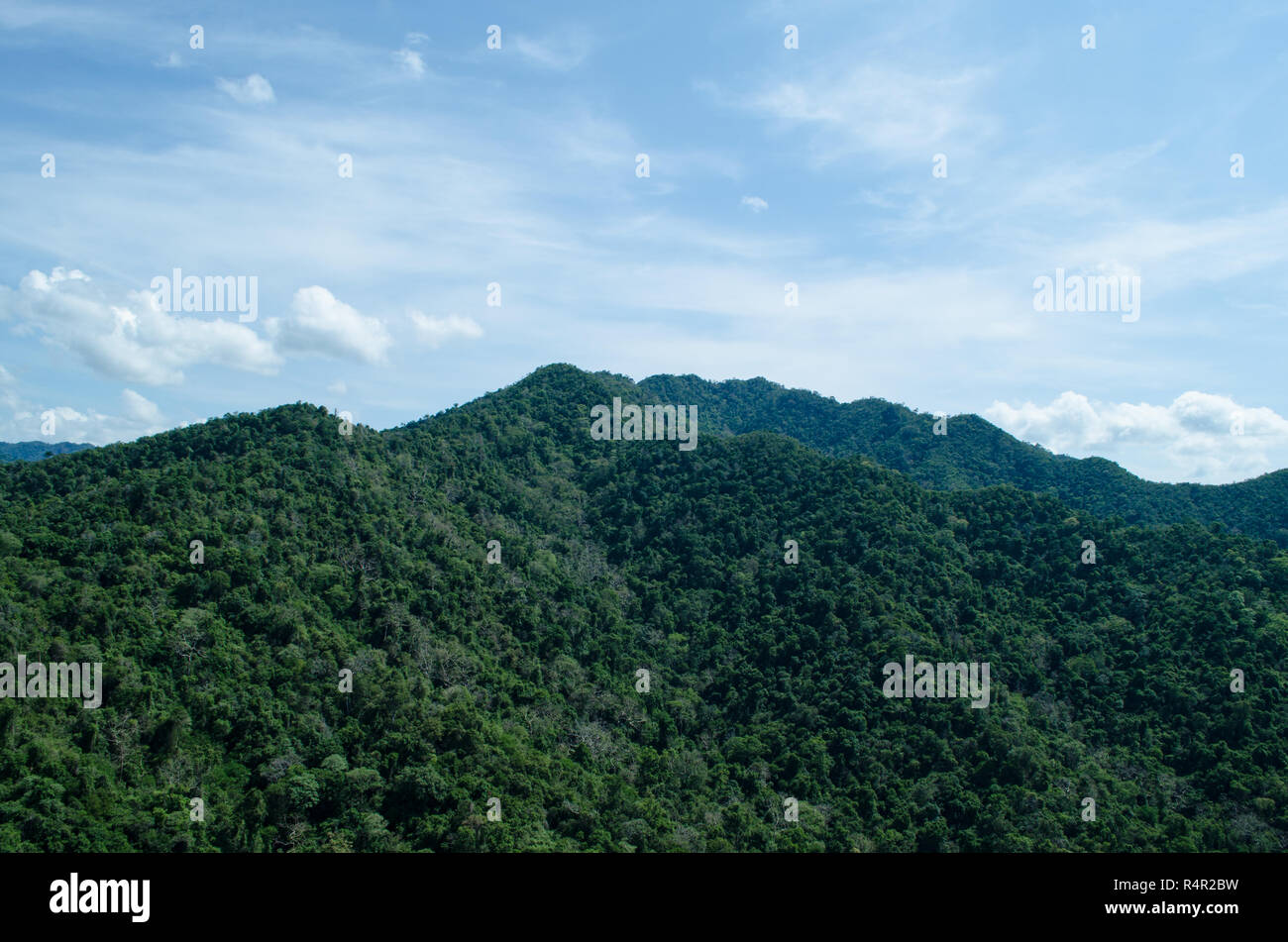 Ansicht von oben in Wald in Thailand und blauer Himmel. In einigen Bereichen ist die Masse für die Landwirtschaft ändern Stockfoto