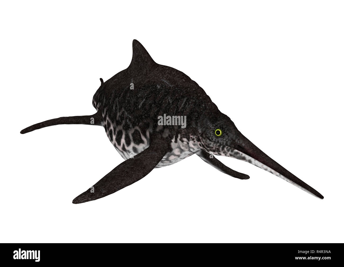 3D-Rendering Ichthyosaur Shonisaurus auf Weiß Stockfoto