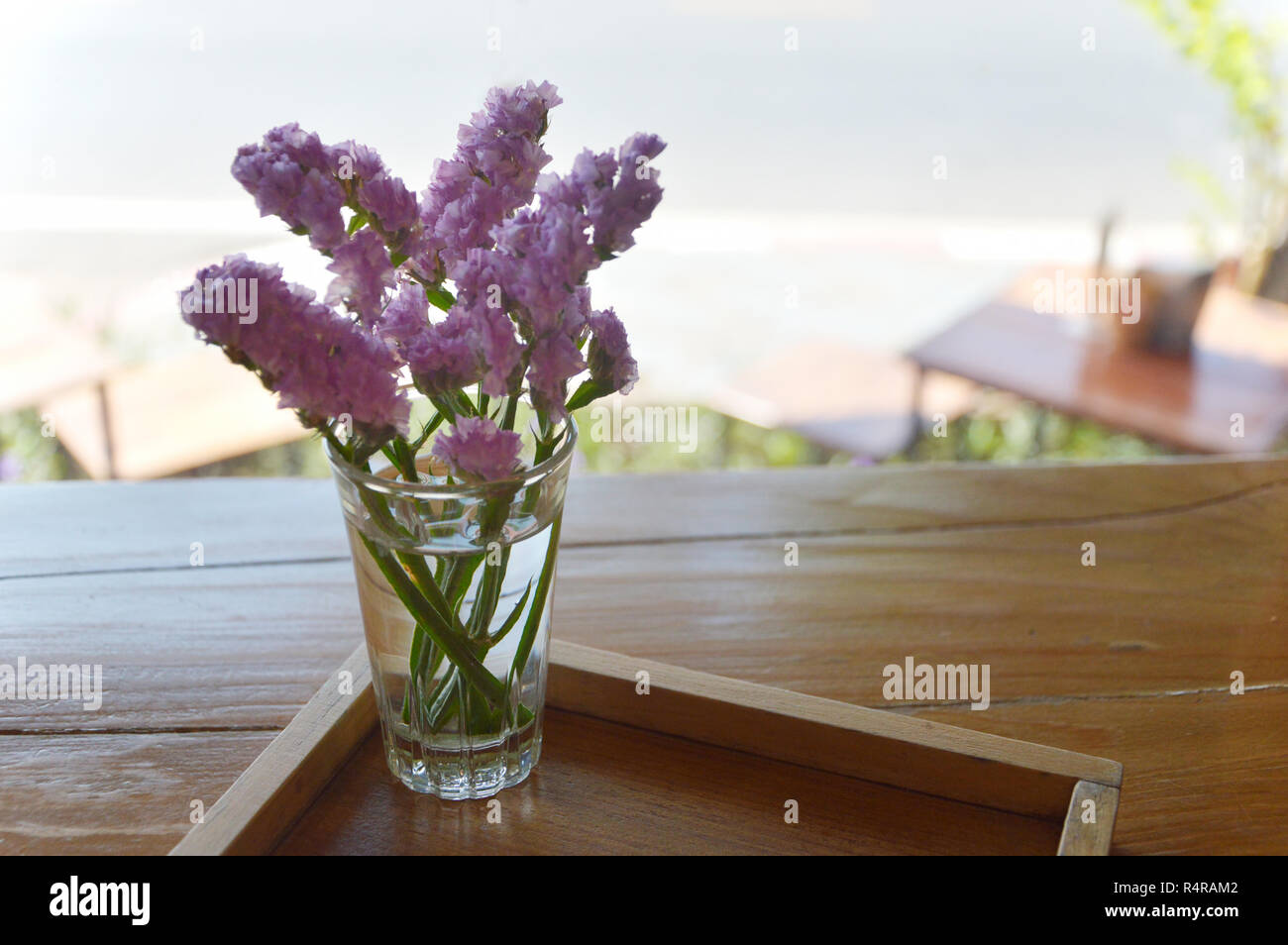 Statice Blumen violette Farbe Stockfoto