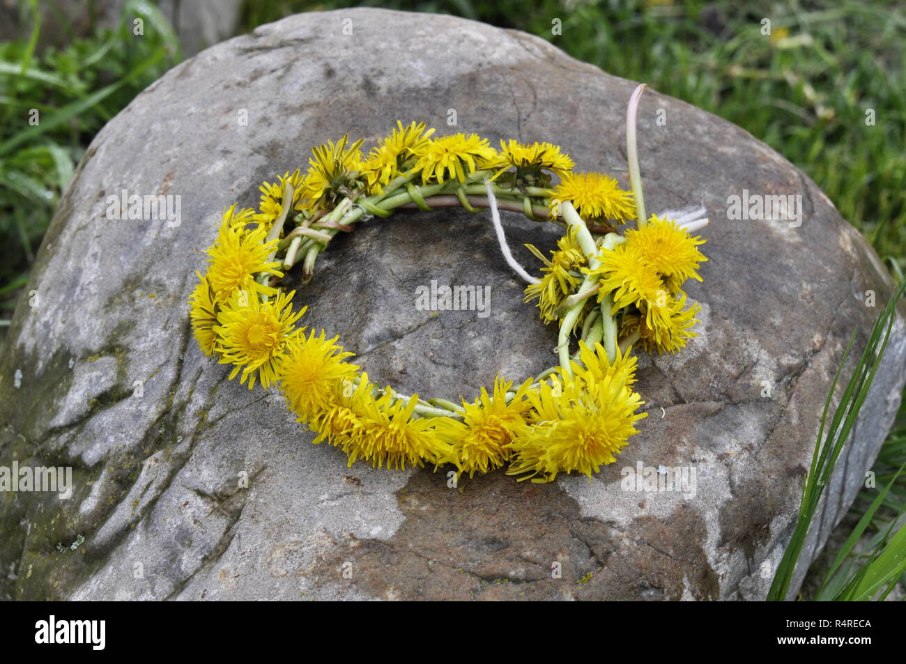 Löwenzahn Blume Girlande links auf einen Stein Stockfoto