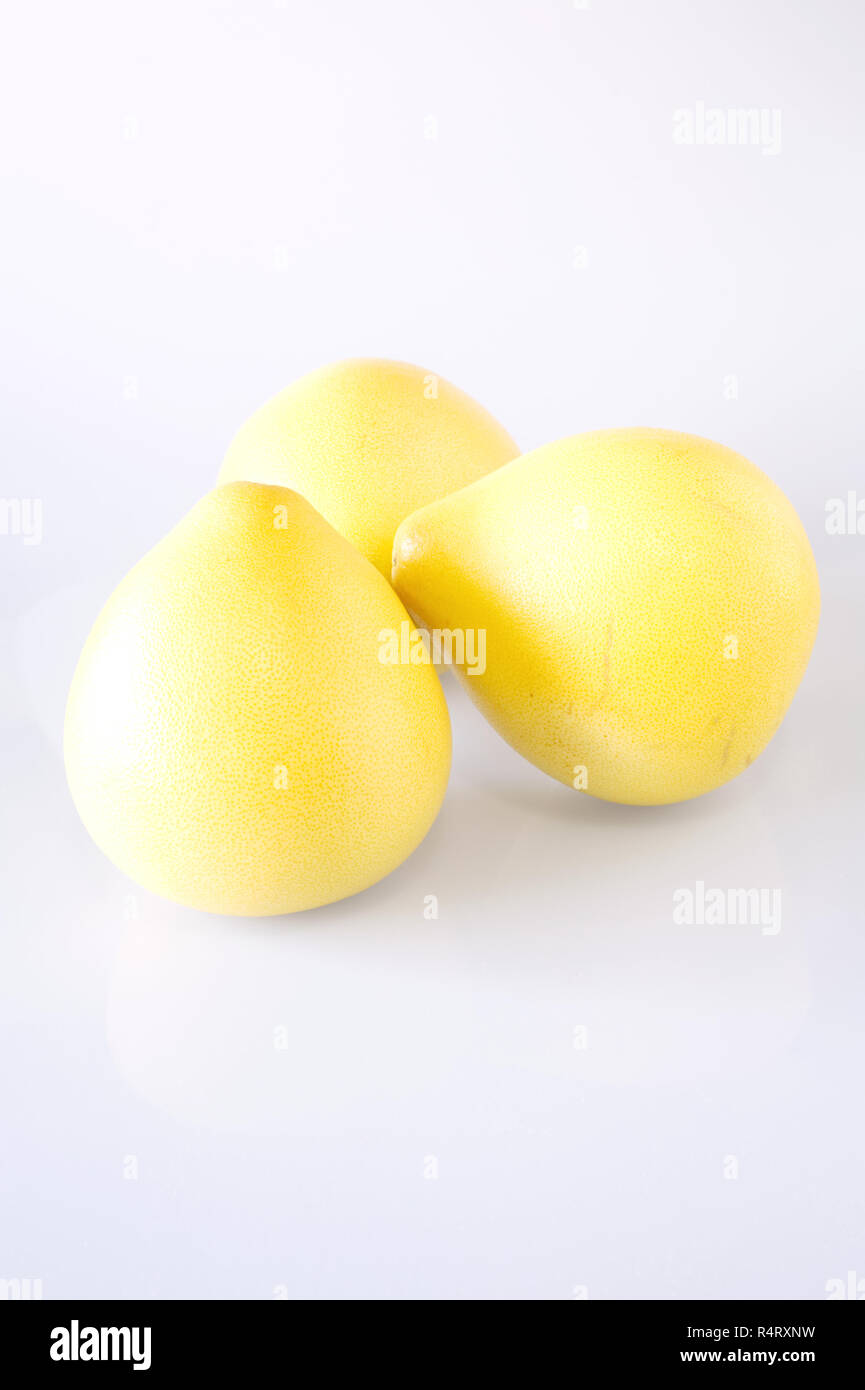 Citrus Maxima. Pomelo Früchte auf einem weißen Hintergrund. Stockfoto