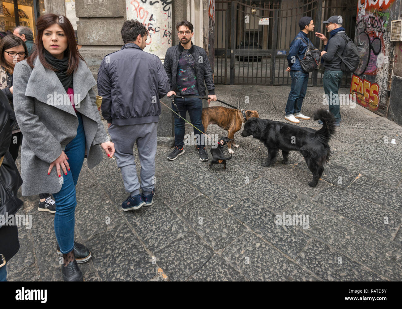 Junge Frau, Männer mit Hunden, an der Piazza San Domenico Maggiore, Centro Storico Viertel, Neapel, Kampanien, Italien Stockfoto