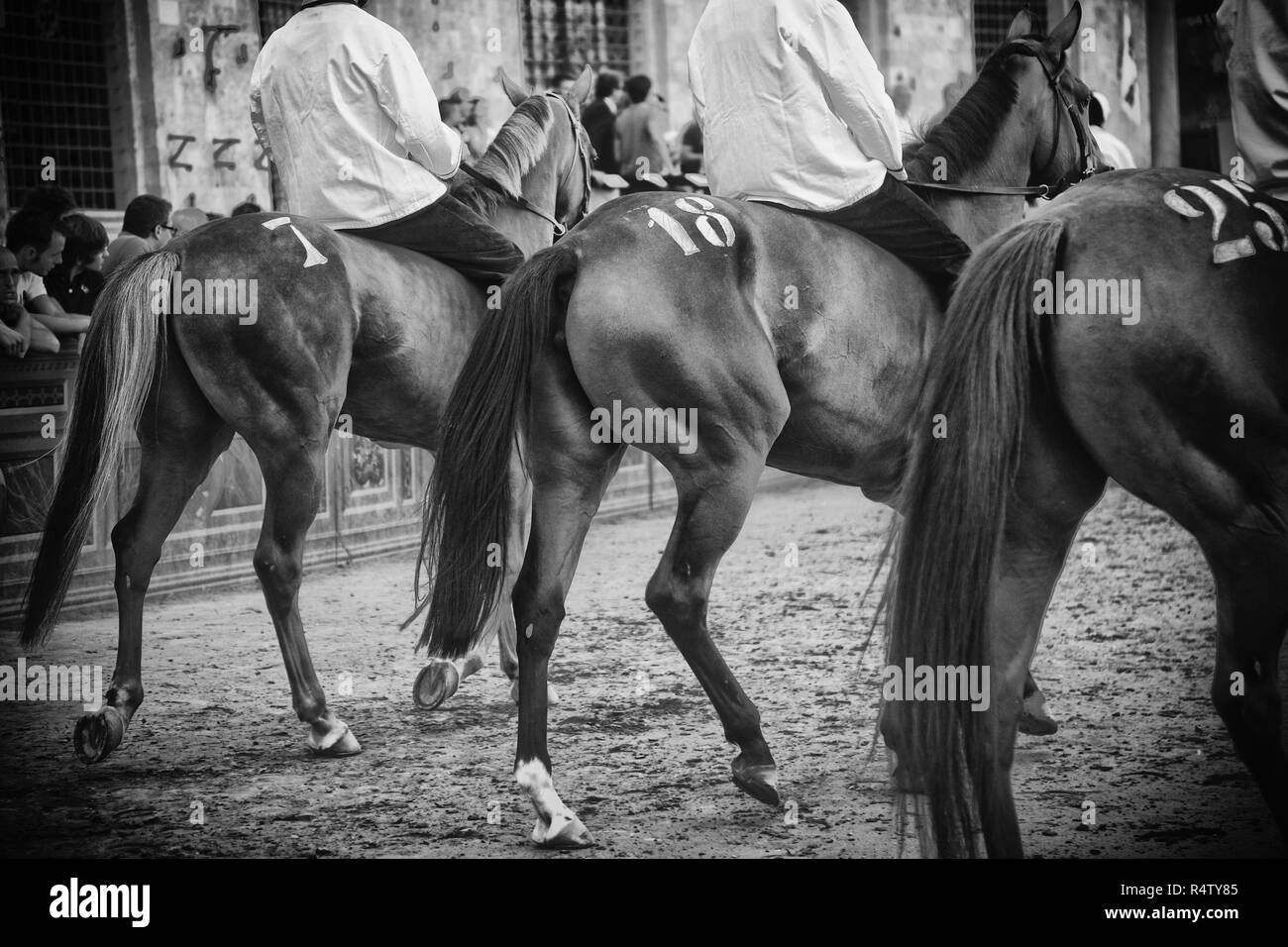 Palio di Siena, Italien Stockfoto