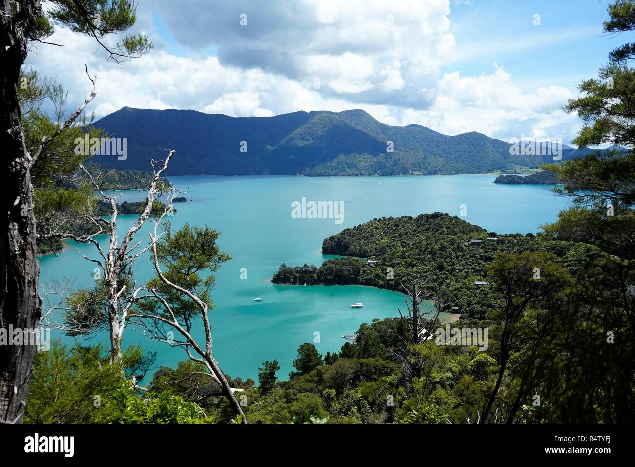 Ein Blick von Oben auf die Boote, blaues Wasser und Buchten der Marlborough Sound Neuseeland Südinsel Stockfoto