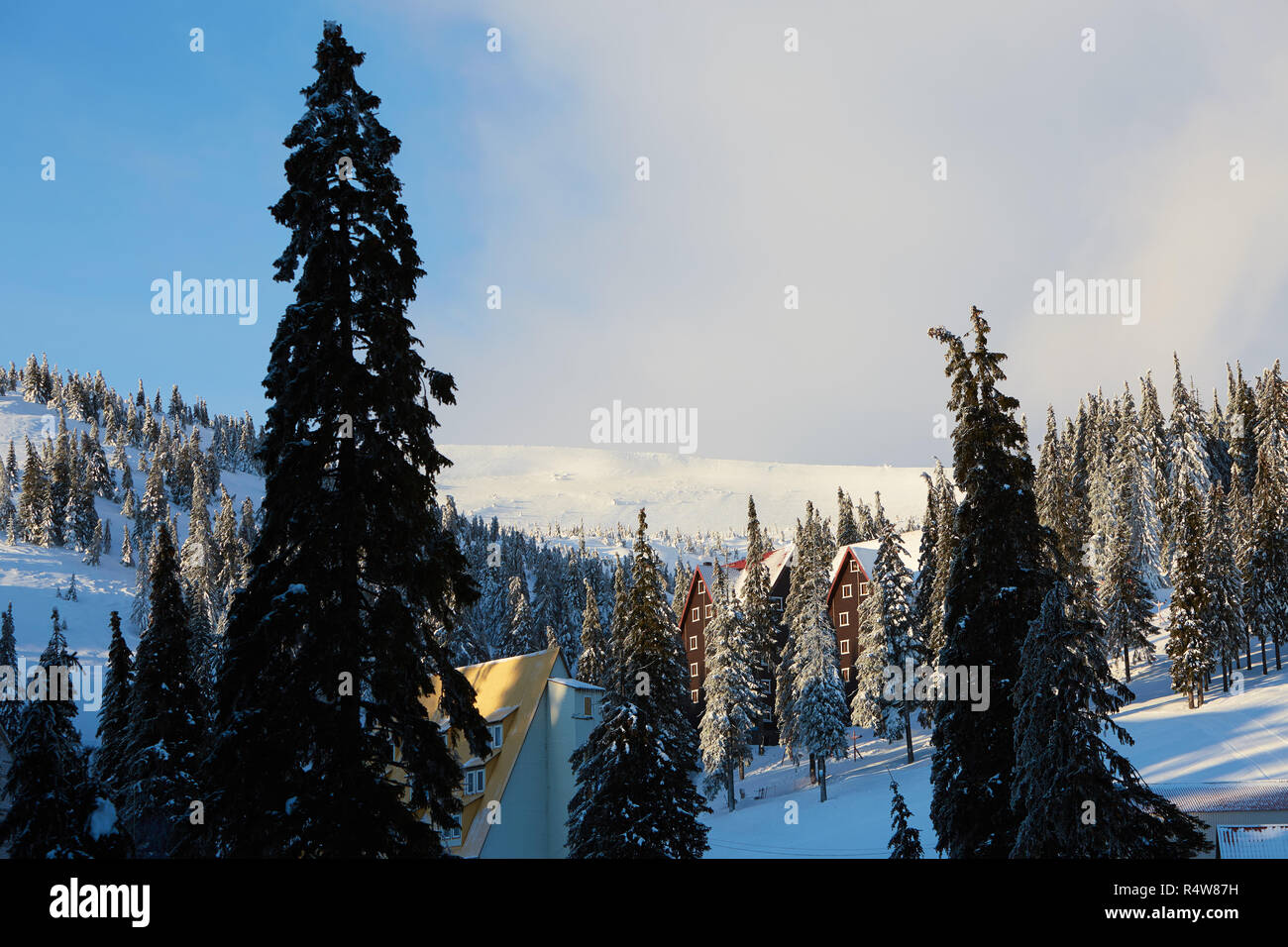 Mountain Ski Resort Winter Landschaft Foto. Hohe Tannen und Chalet Häuser mit Schnee bedeckt. Ferienhäuser und Ferienwohnungen bei Sonnenaufgang im Tal in der Nähe von Ski Lift. Hotel Gebäude in den Morgen. Stockfoto