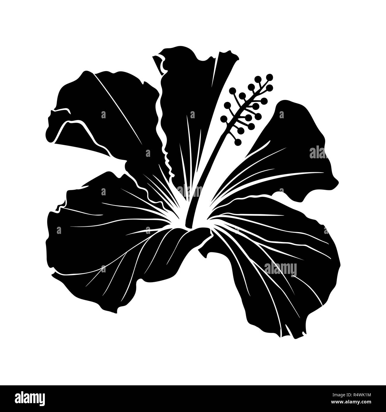 Hawaiian Hibiscus Laser geschnittenen Vektor Silhouette. Duft Blume. Malve Chenese Rose. Schwarze und Weiße Flora. Isolierte Botanik Pflanze mit Blüten. Tropische Karkade oder Bissap Kräutertee, purpurroten Blüten Stock Vektor