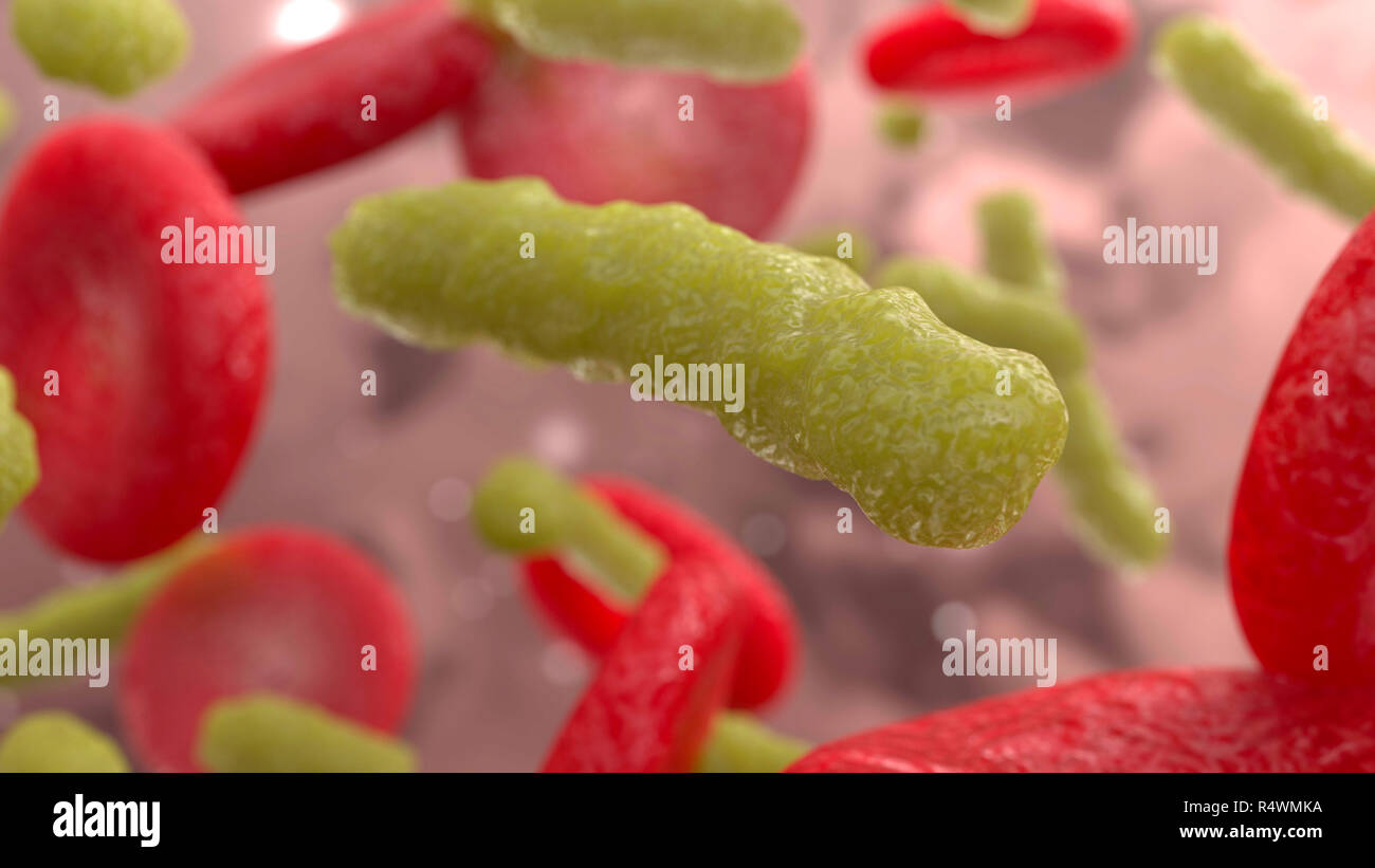 Bakterien und Blutzellen unter dem Mikroskop. 3D-Render Abbildung Stockfoto