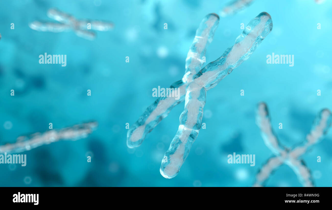 3D-Illustration des Chromosoms. DNA. Genetische Konzept Hintergrund Stockfoto