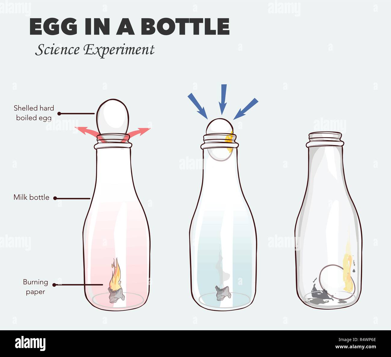 Ei in eine Flasche Wissenschaft Experiment Vector Illustration  Stock-Vektorgrafik - Alamy