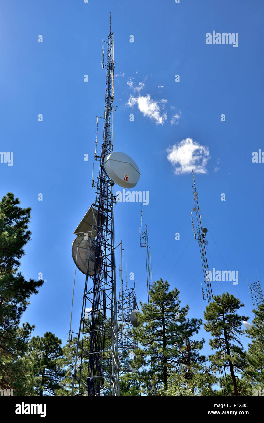 Suchen in Kommunikation Türme mit Mikrowelle, Handy und TV Antennen in Pinienwald am Berg Stockfoto